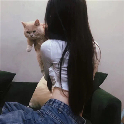 打造完美简历：成功应聘伴游职位的秘诀